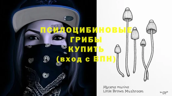 хмурый Лабытнанги