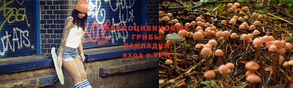 круглые Ладушкин