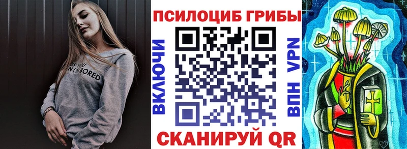 Купить закладки  Кирсанов  Галлюциногенные грибы Magic Shrooms 
